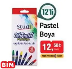 STUDİ PASTEL BOYA